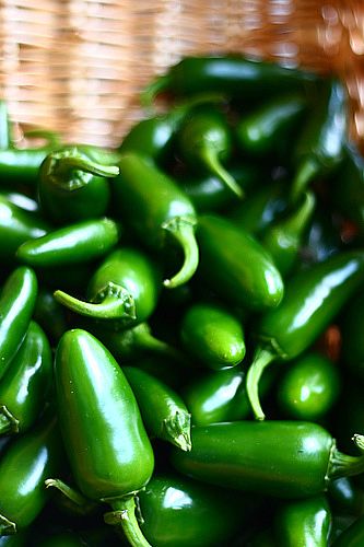 Jalapeno Peppers-5